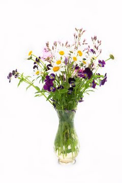 camomile and wild flowers bouquet on a white background