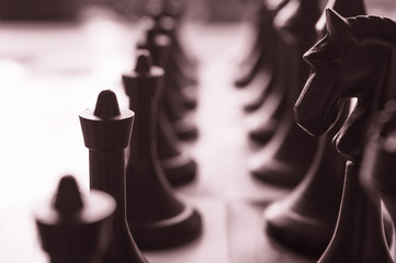 Chess pieces close-up arranged in a row © Tycsan