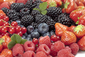 Johannisbeeren, Brombeeren, Erdbeeren, Blaubeeren, closeup