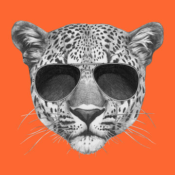 Original drawing of leopard with sunglasses. Isolated on colored background