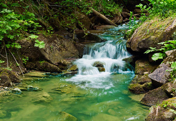 Small waterfall in the forest