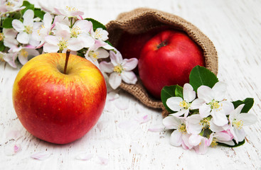 apples and apple tree blossoms