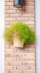 vintage filter : flower pot hanging orange brick post