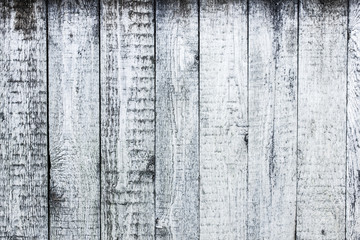 Grunge peeling paint white wood texture