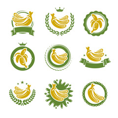 Bananas labels and elements set. Vector