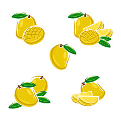 Mango set. Vector