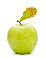 GMO Apple