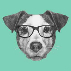 Hand drawn portrait of Jack Russell with glasses. Vector isolated elements.