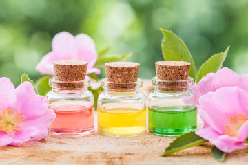 Obraz na płótnie Canvas Bottles of essential oil and pink wild rose flowers closeup.