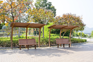 Obraz premium Rustic pergolas with benches under blossoming trees