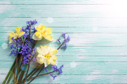 Fresh yellow and blue flowers on wooden background