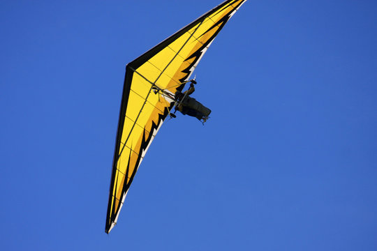 Hang Glider