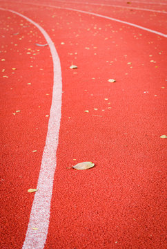 dry leaf on runing track