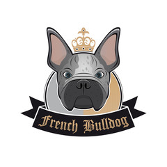 französische bulldogge
