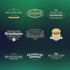 Set of Hipster Vintage Labels, Logotypes, Badges for Your Business