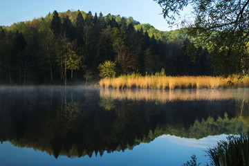 Fototapeta na wymiar Reflection of trees on Tracoscan lake in Zagorje, Croatia