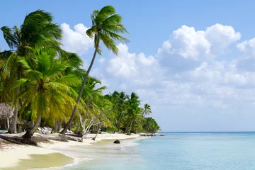 Zelfklevend Fotobehang natürlicher Strand mit Palmen in der dominikanischen Republik © Robert Leßmann