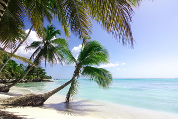 natürlicher Strand mit Palmen in der dominikanischen Republik
