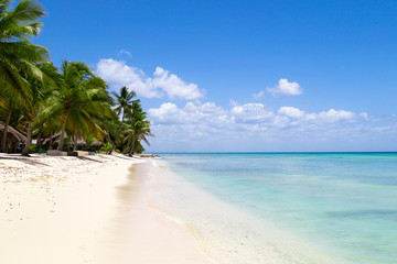 Plakat natürlicher Strand mit Palmen in der dominikanischen Republik