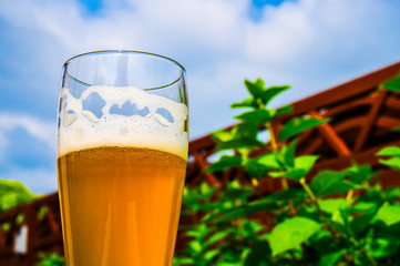 Glas Hefeweizen 