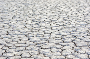 Closeup Of Dry and Cracked Mud Soil in Racetrack Playa in Death