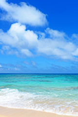 南国の美しいビーチと紺碧の空