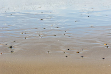 Patterns in wet sand caused by water