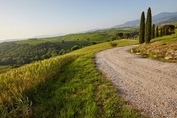 A rural road in Tuscany, Italy