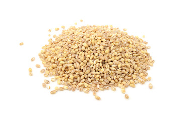 Pearl barley grains