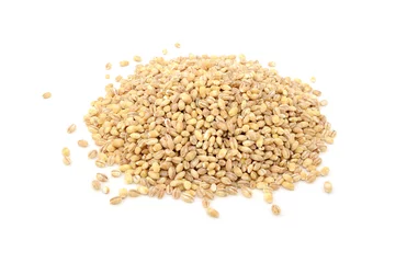 Poster Pearl barley grains © sarahdoow