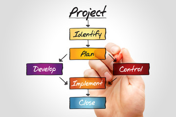 PROJECT flow chart, business concept process