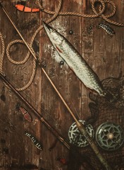 Fishing tools and fresh pike on a wooden table