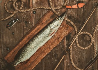 Fishing tools and fresh pike on a wooden table