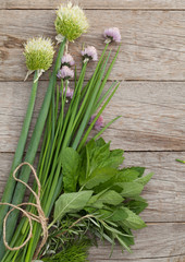 Fresh herbs on garden table