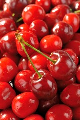 cherries group 