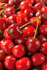 cherries group 