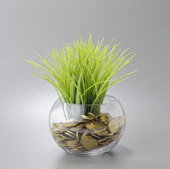 Gold Coins, Grass and Bowl - Business Concept