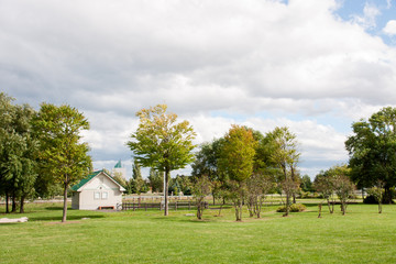 Fototapeta na wymiar 草原と小屋のある風景