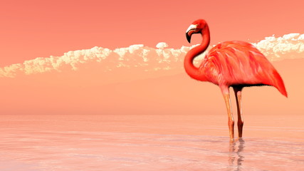 Pink flamingo - 3D render © Elenarts