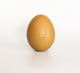 egg on white  background