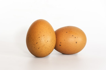 egg on white  background