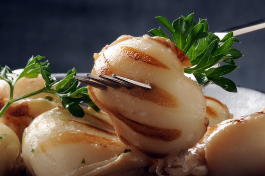 Sepia a la plancha Grilled cuttlefish жареная каракатица