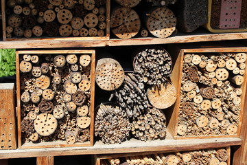 Drilled wooden pieces for insects