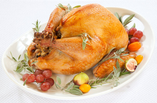 Roasted Turkey on tray over white