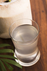 Coconut and coconut water