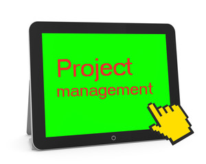 project management