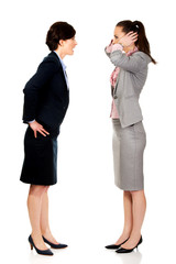 Businesswoman screaming on her partner.