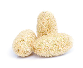 luffa sponge.