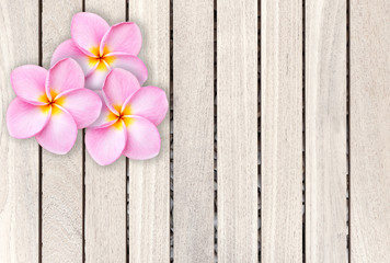 Pink frangipani flower on grey wooden plank background