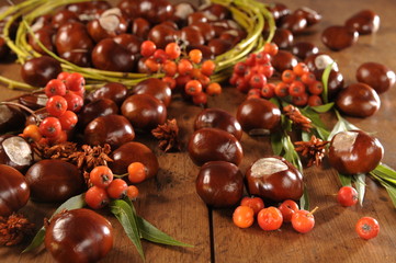 chestnuts and rowan